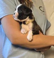 processed/e986b313-0ece-4791-8c8f-411f92d592e9/listing/df10cb68-5880-45a5-a923-578afa32ff38/aba905b7-13c5-44cc-aa4a-7da0ec704f06