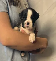 processed/e986b313-0ece-4791-8c8f-411f92d592e9/listing/df10cb68-5880-45a5-a923-578afa32ff38/bdfa65b1-1479-4aca-9b9c-1c4cb6591b6f