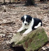 processed/e9880b9d-f0d7-4b5c-b88d-173a5bd7c1e4/facility/06996e4e-6633-4b3a-af4b-ab632aca88db