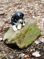 processed/e9880b9d-f0d7-4b5c-b88d-173a5bd7c1e4/facility/444683d1-cf35-405f-a8e2-45c061d871d4