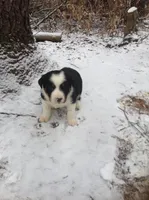 processed/e9880b9d-f0d7-4b5c-b88d-173a5bd7c1e4/facility/709360d8-1823-41f0-bdf8-ed619686608b