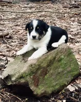 processed/e9880b9d-f0d7-4b5c-b88d-173a5bd7c1e4/facility/8d858b63-a3cb-4bc5-a977-3226cc98de10