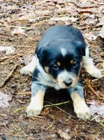 processed/e9880b9d-f0d7-4b5c-b88d-173a5bd7c1e4/facility/c4f80912-a7a9-4d15-894c-fc034f97e6f3