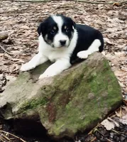 processed/e9880b9d-f0d7-4b5c-b88d-173a5bd7c1e4/facility/ccfdd424-98db-41b3-a5f7-2655bf0fcbb6