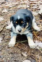 processed/e9880b9d-f0d7-4b5c-b88d-173a5bd7c1e4/facility/ea462bda-5dda-46c4-bb2c-9518d84e9b85