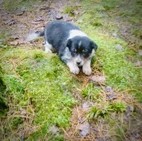 processed/e9880b9d-f0d7-4b5c-b88d-173a5bd7c1e4/facility/f18444f5-806f-4a47-b496-9691bc1210f8