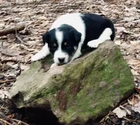 processed/e9880b9d-f0d7-4b5c-b88d-173a5bd7c1e4/facility/f6bb9eea-880d-40f9-a6aa-3f34b7f1fb5c