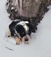 processed/e9880b9d-f0d7-4b5c-b88d-173a5bd7c1e4/listing/09b33154-b123-4f75-b07d-1c151c44eed7/8abdfda3-1fc2-482b-bd00-9500f0c9cb8a