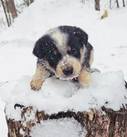 processed/e9880b9d-f0d7-4b5c-b88d-173a5bd7c1e4/listing/09b33154-b123-4f75-b07d-1c151c44eed7/98892576-7335-4a53-a3e3-19d6baa8dd3c