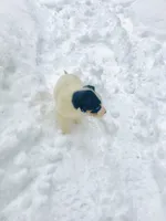 processed/e9880b9d-f0d7-4b5c-b88d-173a5bd7c1e4/listing/0f463174-7b56-4c76-aa0e-34d0f03534b9/2ef789da-9bf7-4a9c-b99e-1a124527af95