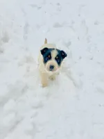 processed/e9880b9d-f0d7-4b5c-b88d-173a5bd7c1e4/listing/0f463174-7b56-4c76-aa0e-34d0f03534b9/379d5650-c37a-4e27-bb0a-af071ce0099c