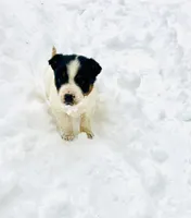 processed/e9880b9d-f0d7-4b5c-b88d-173a5bd7c1e4/listing/0f463174-7b56-4c76-aa0e-34d0f03534b9/659bba97-6d42-49bc-a2f0-2e548820600f