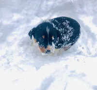 processed/e9880b9d-f0d7-4b5c-b88d-173a5bd7c1e4/listing/36b2f842-396c-4c6a-a1d1-a863064c070e/bb9a098d-887e-4e16-95de-1b68e574ed96