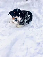 processed/e9880b9d-f0d7-4b5c-b88d-173a5bd7c1e4/listing/36b2f842-396c-4c6a-a1d1-a863064c070e/c93fa145-66bb-4802-ab95-08a6547bd399