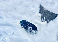 processed/e9880b9d-f0d7-4b5c-b88d-173a5bd7c1e4/listing/36b2f842-396c-4c6a-a1d1-a863064c070e/fa103a9a-628e-4d04-b926-f4fb055c8b4e