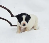 processed/e9880b9d-f0d7-4b5c-b88d-173a5bd7c1e4/listing/d268e76c-180d-41cb-825d-a8e8e19ef1ca/073cd87c-2e36-4cd0-9347-a7b01ee0db14