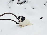 processed/e9880b9d-f0d7-4b5c-b88d-173a5bd7c1e4/listing/d268e76c-180d-41cb-825d-a8e8e19ef1ca/6f8d6536-0ed9-4745-b6eb-0b4884aec164