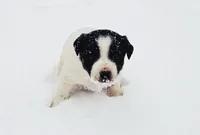 processed/e9880b9d-f0d7-4b5c-b88d-173a5bd7c1e4/listing/d268e76c-180d-41cb-825d-a8e8e19ef1ca/7666237f-b66b-43be-8804-975394498f7f