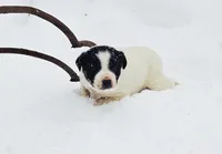 processed/e9880b9d-f0d7-4b5c-b88d-173a5bd7c1e4/listing/d268e76c-180d-41cb-825d-a8e8e19ef1ca/86c4bcda-121a-4e72-995f-0efd34f40e16