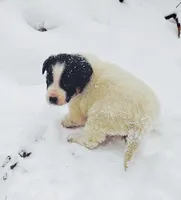 processed/e9880b9d-f0d7-4b5c-b88d-173a5bd7c1e4/listing/d268e76c-180d-41cb-825d-a8e8e19ef1ca/a704a3ee-e0ae-4123-b505-1c680a4f18bf