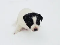 processed/e9880b9d-f0d7-4b5c-b88d-173a5bd7c1e4/listing/d268e76c-180d-41cb-825d-a8e8e19ef1ca/b0020dff-567a-4ec4-9912-918df9e4519f