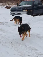 processed/e98f7cdc-fabd-4f45-8320-b1934133e0ad/facility/11f265b9-e2ef-4491-b911-8fda4586ff87