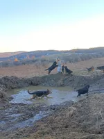 processed/e98f7cdc-fabd-4f45-8320-b1934133e0ad/facility/5b052e37-41f3-4cc0-b384-3e59377beb51