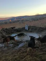 processed/e98f7cdc-fabd-4f45-8320-b1934133e0ad/facility/694cea67-2457-442d-acae-ed9290e61ec0