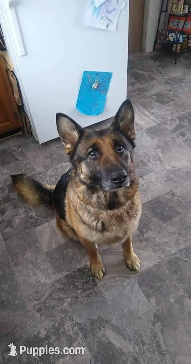 processed/e98f7cdc-fabd-4f45-8320-b1934133e0ad/facility/f1f6fe88-fae7-4a69-87e1-384b6a8ee127