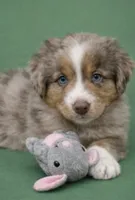 processed/e9a09c7f-643b-4c6c-b2dd-2db83e2ecd40/listing/9e292b33-1db8-4345-86d6-73a1b95f2735/02869d87-9a68-4c76-b13d-3c6c9df42ea7