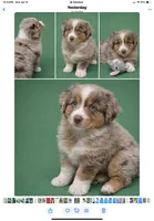 processed/e9a09c7f-643b-4c6c-b2dd-2db83e2ecd40/listing/9e292b33-1db8-4345-86d6-73a1b95f2735/6d263289-e86f-4e62-958b-d52ee316670a