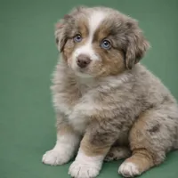 processed/e9a09c7f-643b-4c6c-b2dd-2db83e2ecd40/listing/9e292b33-1db8-4345-86d6-73a1b95f2735/75eabe20-2088-4640-881e-72914cb7671d