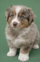 processed/e9a09c7f-643b-4c6c-b2dd-2db83e2ecd40/listing/9e292b33-1db8-4345-86d6-73a1b95f2735/afbb6b34-c7ea-42e0-ae51-f90b9d805dd5