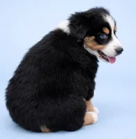 processed/e9a09c7f-643b-4c6c-b2dd-2db83e2ecd40/listing/ec40e1bd-e43b-420e-88d6-603ad9984719/2d0695b3-61fb-4000-a235-477835309a49