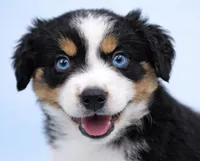 processed/e9a09c7f-643b-4c6c-b2dd-2db83e2ecd40/listing/ec40e1bd-e43b-420e-88d6-603ad9984719/38cb453d-75cf-438f-af0a-2d8a907b3931