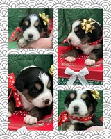 processed/e9a09c7f-643b-4c6c-b2dd-2db83e2ecd40/listing/ec40e1bd-e43b-420e-88d6-603ad9984719/beb2d05d-4e4a-4fbd-b54a-fe304c935a83