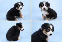 processed/e9a09c7f-643b-4c6c-b2dd-2db83e2ecd40/listing/ec40e1bd-e43b-420e-88d6-603ad9984719/e7e7dd22-e98e-437e-b4c2-42f1fc5f5c28