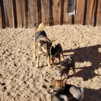 processed/e9aa35b9-fa06-4e71-832a-22b320093d99/facility/4ff2e45e-478c-4b7f-a34c-dd4fb12fff62