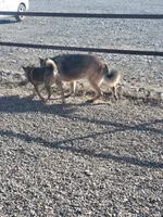 processed/e9aa35b9-fa06-4e71-832a-22b320093d99/facility/55492d65-ae8c-43ef-a877-bbad3226c1b2