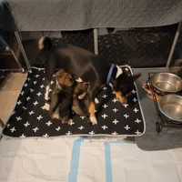 processed/e9aa35b9-fa06-4e71-832a-22b320093d99/facility/73e66c82-caff-465c-b0b0-da58525329ff