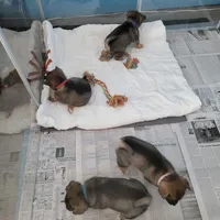 processed/e9aa35b9-fa06-4e71-832a-22b320093d99/facility/74491dcd-1c29-4823-bd28-54c04a681c97