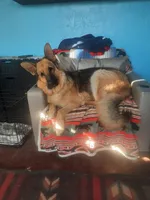 processed/e9aa35b9-fa06-4e71-832a-22b320093d99/facility/7af98f10-1941-4030-bc4e-6ce0bdfbc5f5