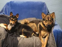 processed/e9aa35b9-fa06-4e71-832a-22b320093d99/facility/84140d1c-cf69-4cb2-8cd2-51389b02b38a