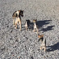 processed/e9aa35b9-fa06-4e71-832a-22b320093d99/facility/d9d8f4a1-7aa0-472e-b23b-424548171699