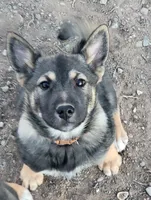 processed/e9aa35b9-fa06-4e71-832a-22b320093d99/listing/0eea2b24-7f18-4a4a-abbe-ecfba175daf2/1450b5f7-6797-4188-858e-0dece399a504