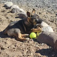 processed/e9aa35b9-fa06-4e71-832a-22b320093d99/listing/0eea2b24-7f18-4a4a-abbe-ecfba175daf2/29b24365-aced-4167-b037-a5706921e23c