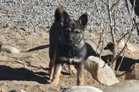 processed/e9aa35b9-fa06-4e71-832a-22b320093d99/listing/0eea2b24-7f18-4a4a-abbe-ecfba175daf2/356d4746-b511-40a3-be03-ae41aef09439