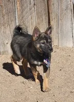 processed/e9aa35b9-fa06-4e71-832a-22b320093d99/listing/0eea2b24-7f18-4a4a-abbe-ecfba175daf2/9f30376f-4153-4596-94e4-17b3f1b45fe1