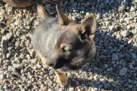 processed/e9aa35b9-fa06-4e71-832a-22b320093d99/listing/0eea2b24-7f18-4a4a-abbe-ecfba175daf2/b7ece762-6eae-4c7d-ae49-586a2f3419e8