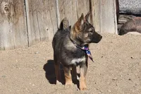 processed/e9aa35b9-fa06-4e71-832a-22b320093d99/listing/0eea2b24-7f18-4a4a-abbe-ecfba175daf2/c70f7bc5-e278-4da5-94a6-d4b37b1b2737